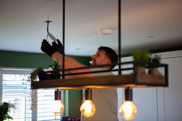 Best Electric Panel Repair  in Stagecoach, NV